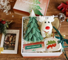 Kerze - Rudolf - Giftbox